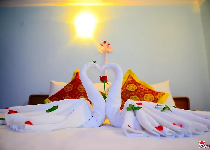 Vega Star Hotel