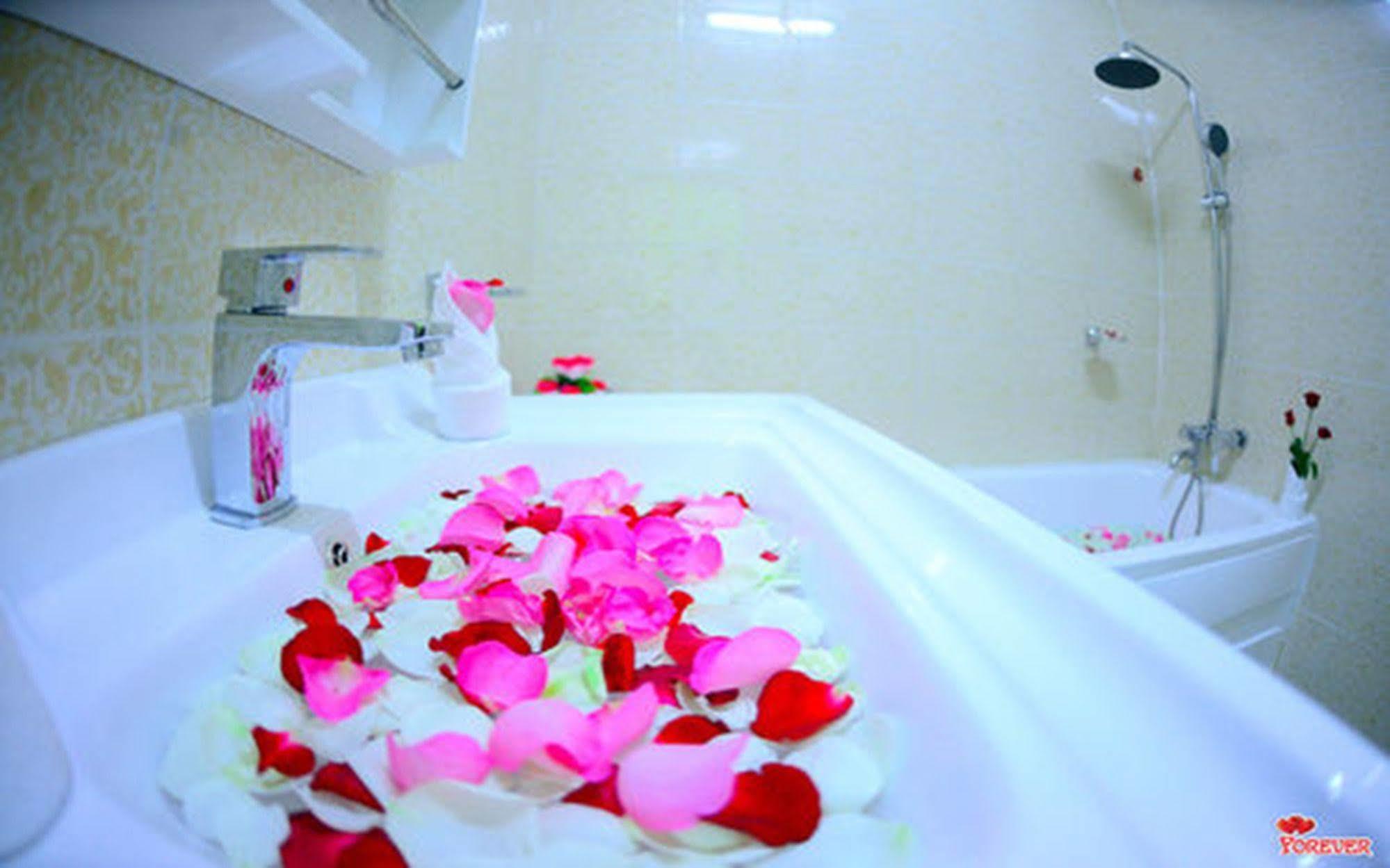 Hotel Vega Star Hotel *
